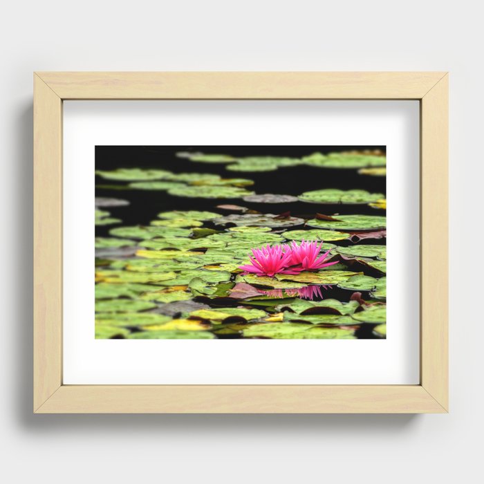 Lilies on Lake hope Recessed Framed Print