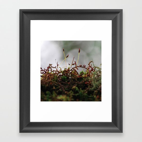 Miniscule World Framed Art Print
