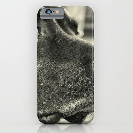 Really? iPhone & iPod Case
