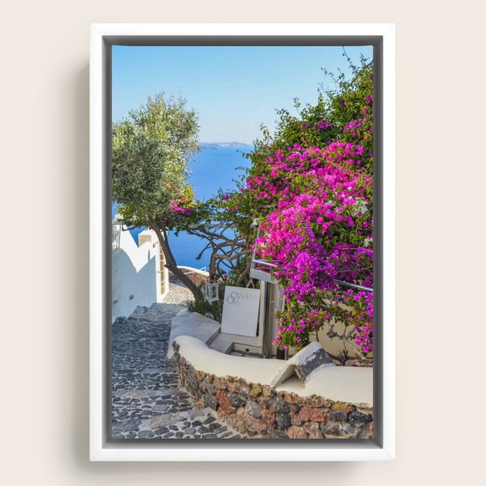 Framed Canvas