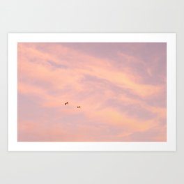 Sky turning Pink & two Seagulls | Nature & Travel Photography Art Print | Nature, Fineart, Seagulls, Sky, Ocean, Color, Photo, Sonset, Travel, Beach 