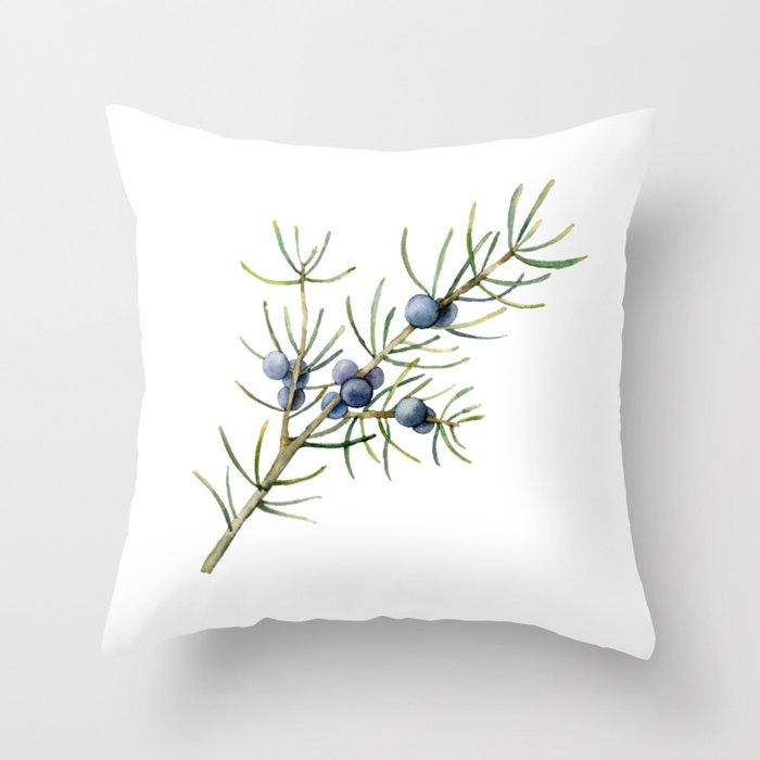 Throw Pillow