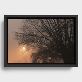 Foggy Sunset Framed Canvas