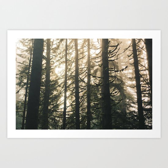 Mossed Art Print