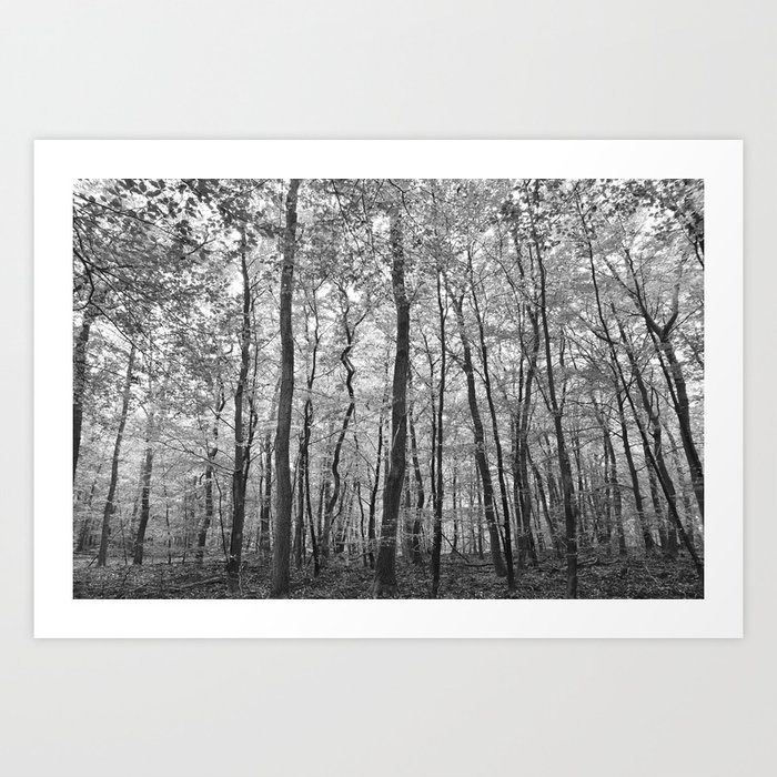 Black and white forrest -- Abstract in soft greytones Art Print -- Veluwe, Netherlands Art Print