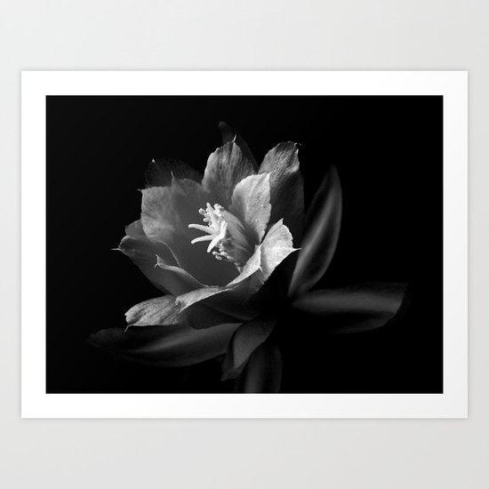 Zygo Art Print