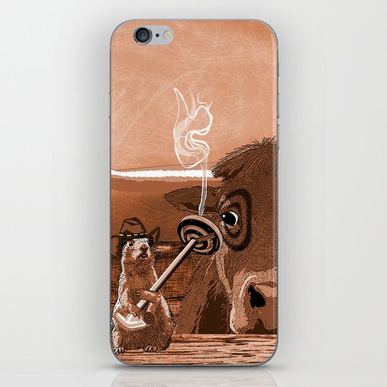 Bulls Eye iPhone & iPod Skin