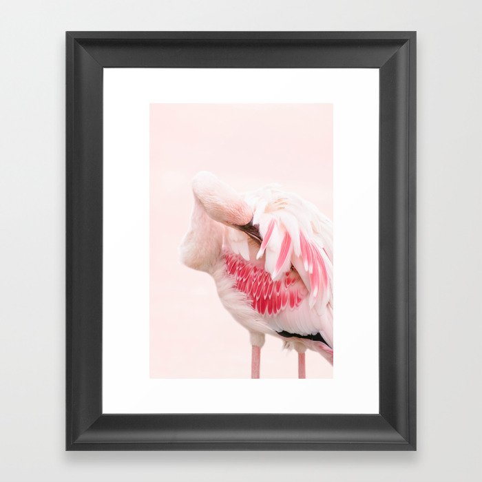 Pink Flamingo - Tropical Beach - Bird - Travel photography by Ingrid Beddoes Framed Art Print