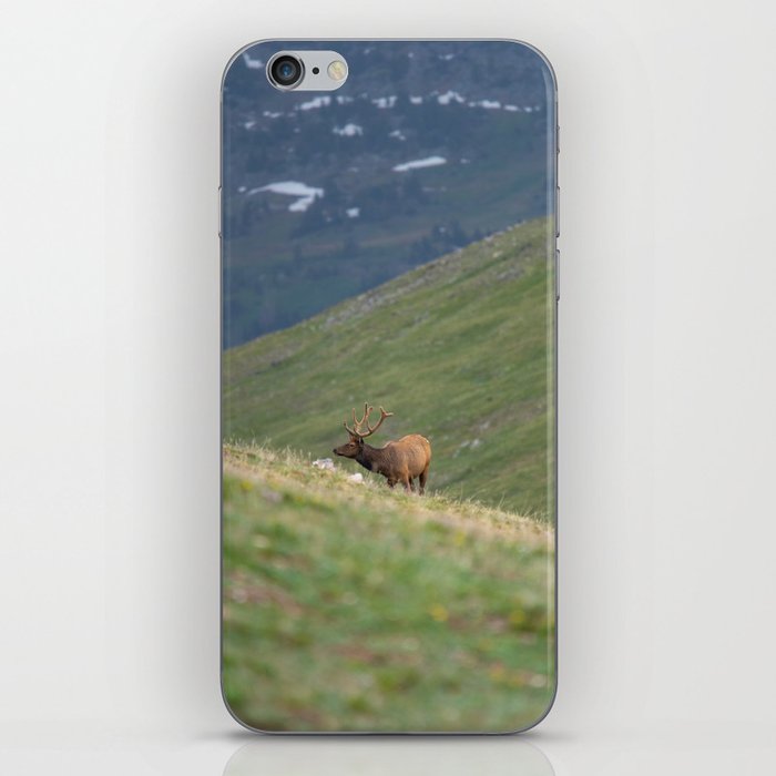 Elk of the Rocky Mountains - 1 iPhone Skin