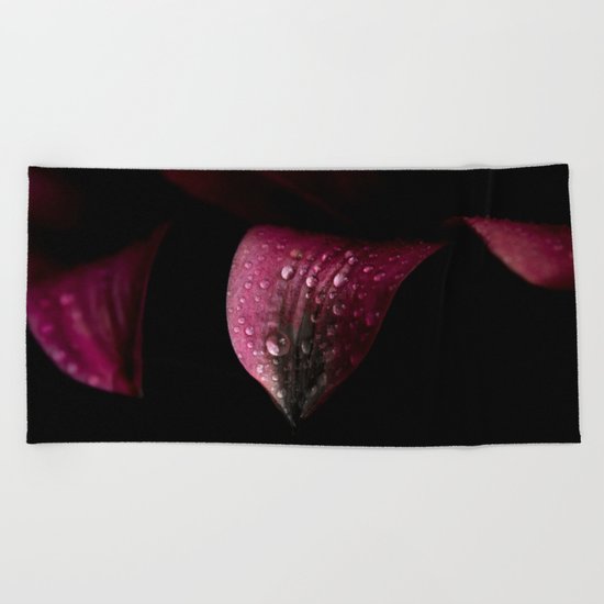 Purple petals with drops Beach Towel