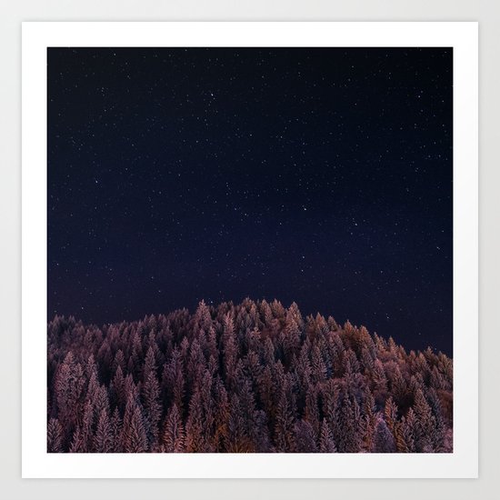 Seize The Night Art Print