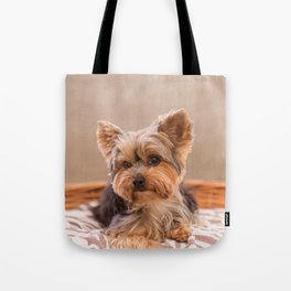 Tiffany the Teacup Yorkshire Terrier Tote Bag