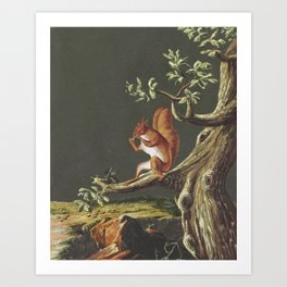 Vintage Squirrel Art, 18th Century Art Print