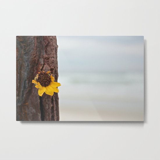 Wild LA FLA. Close-Up Metal Print