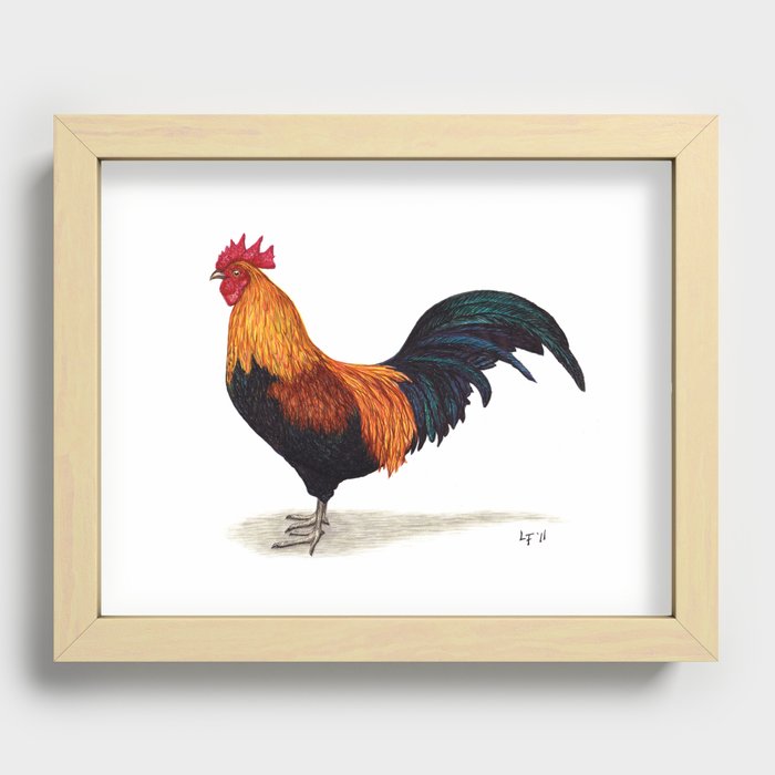 Rooster by Lars Furtwaengler | Ink Pen | 2011 Recessed Framed Print