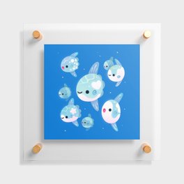 Swimming sunfish Floating Acrylic Print