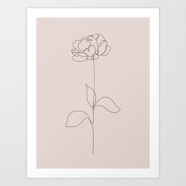 Peony in blush / Light baby pink background flower drawing in one single line / Explicit Design  Art Print