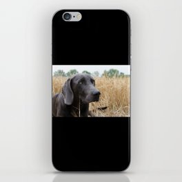 Hunting Dog iPhone Skin