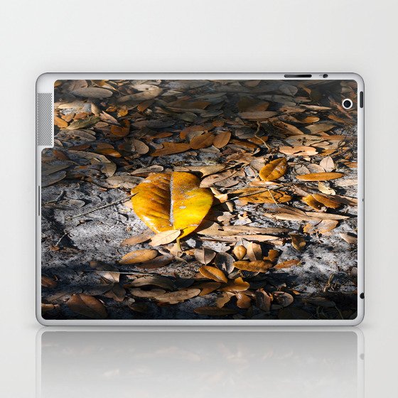 Evening Leaves Fallen on the Path . . .  Laptop & iPad Skin