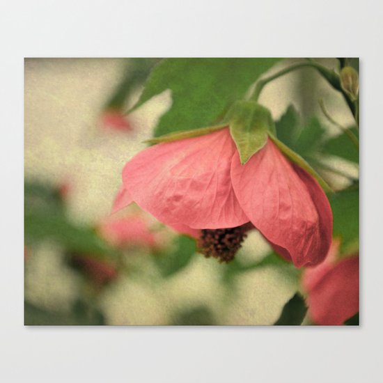 Pink Poppy Canvas Print
