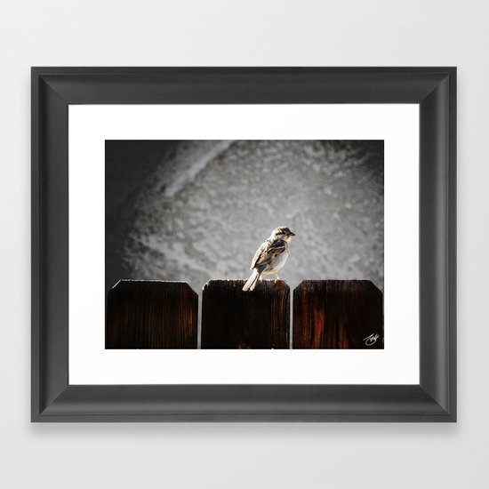 Sparrow Framed Art Print