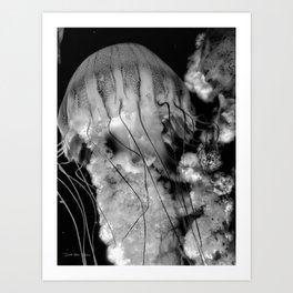 Jellyfish  - Black and White Art Print