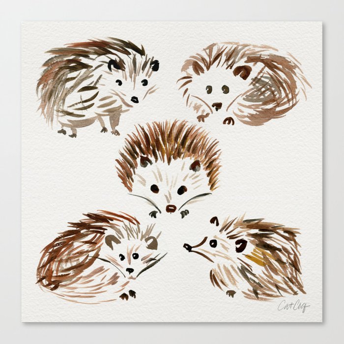Hedgehogs Canvas Print