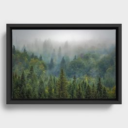 Forest and Fog 03 Framed Canvas