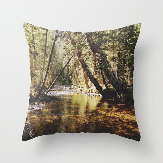 East Inlet Creek Throw Pillow