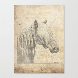 Horse with braids Canvas Print