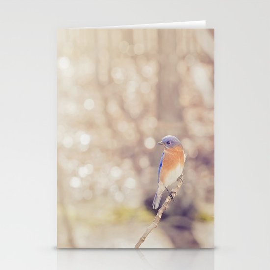 Dappled Stationery Cards