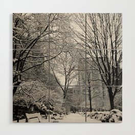 Gramercy Park in Snow, New York City Wood Wall Art