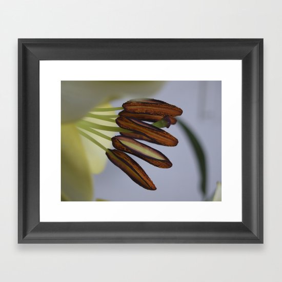 LILY SLIPPERS Framed Art Print