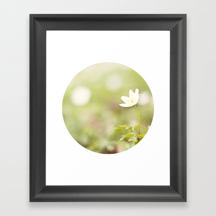 Wind-flower Framed Art Print