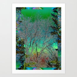 Birch Sky 1 Art Print