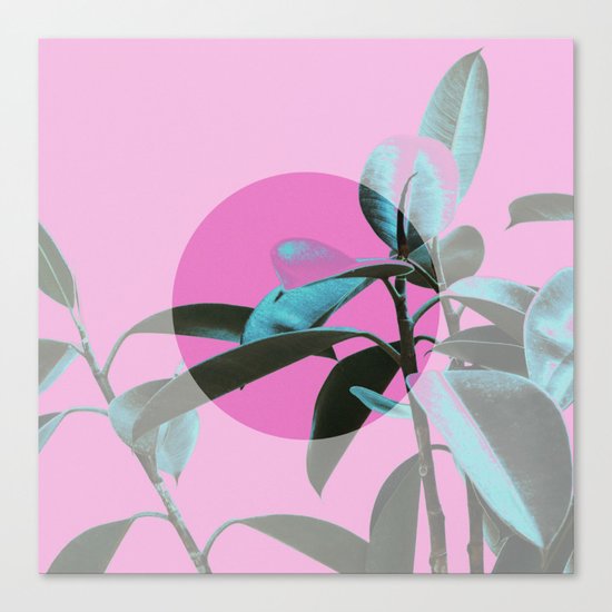 Garden of dreams Canvas Print