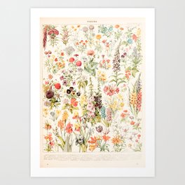 Vintage French Floral Chart 2 Adolphe Millot Art Print
