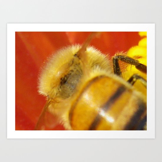 bee Art Print