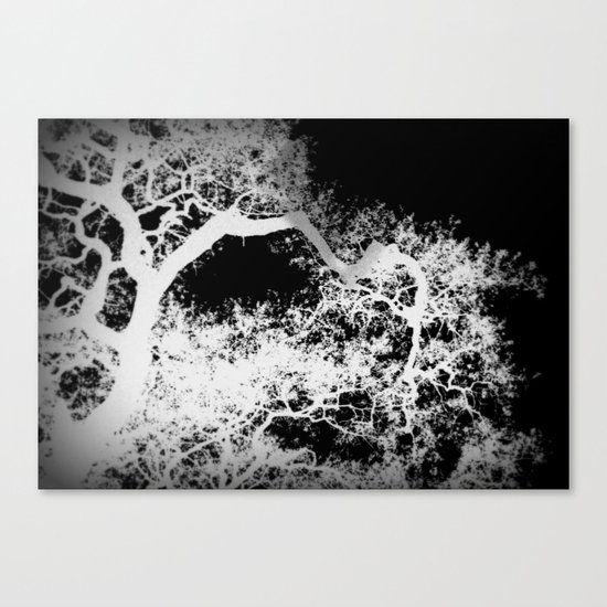 winter dream Canvas Print