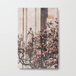 appreciated magnolia flowers  Metal Print