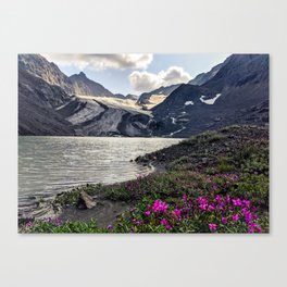 Alaskan Glacier Canvas Print