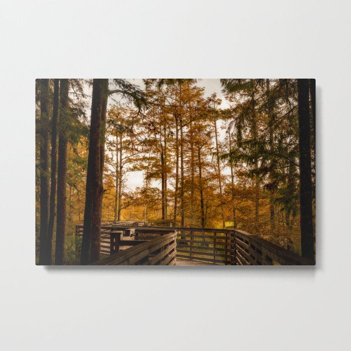 Cypress Trees and Bridge in Mississippi Metal Print