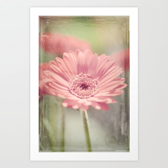 Gerbera Art Print