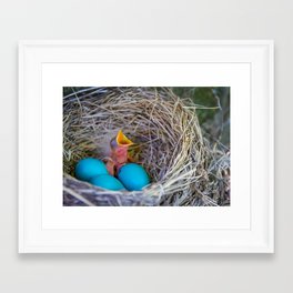 Spring Hatching Framed Art Print