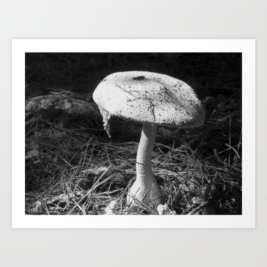 Shroom Art Print