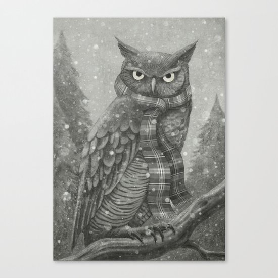 Winter Owl Canvas Print