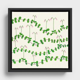 Linnaea borealis Framed Canvas