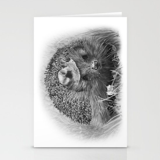 Hedgehog Stationery Cards