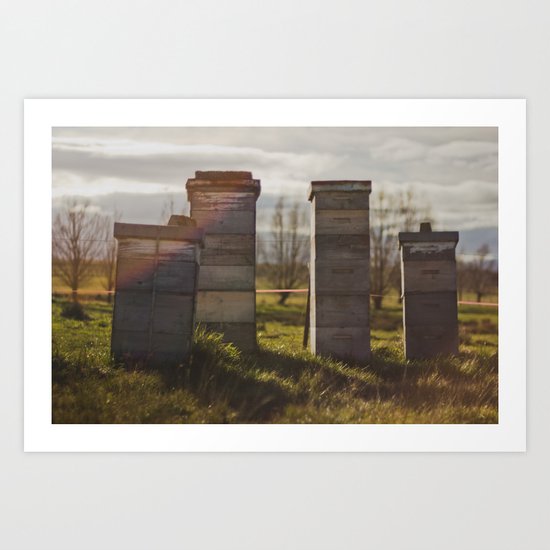 Hives Art Print