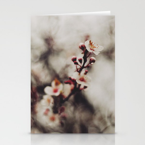 Spring blossoms Stationery Cards